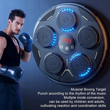 Smart Punching Boxing