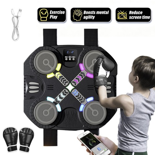 Music punching toy - music, training
