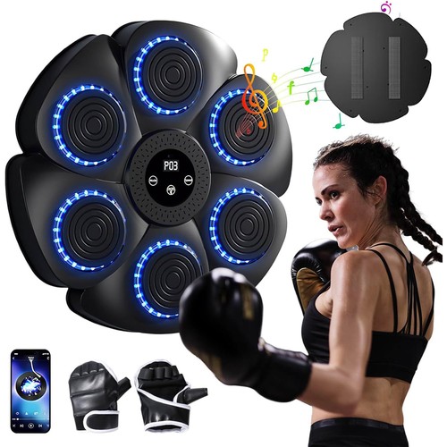 Led boxing training target - led,